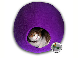 PURPLE CAT CAVE 