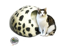 https://multivendorsnepal.com/product/detail/big-size-xl-cat-cave-bed