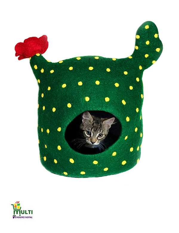 Cactus Design Cat Cave