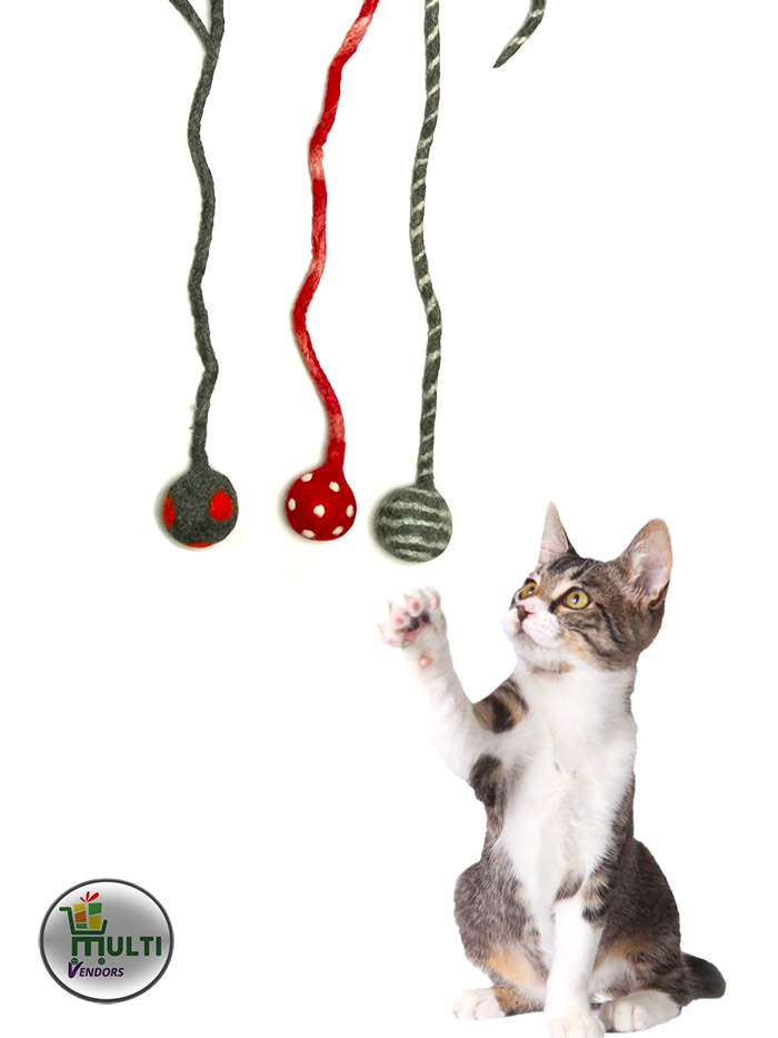 SET OF COLORFUL SOUND MAKING PLAYING BALL WITH TAIL